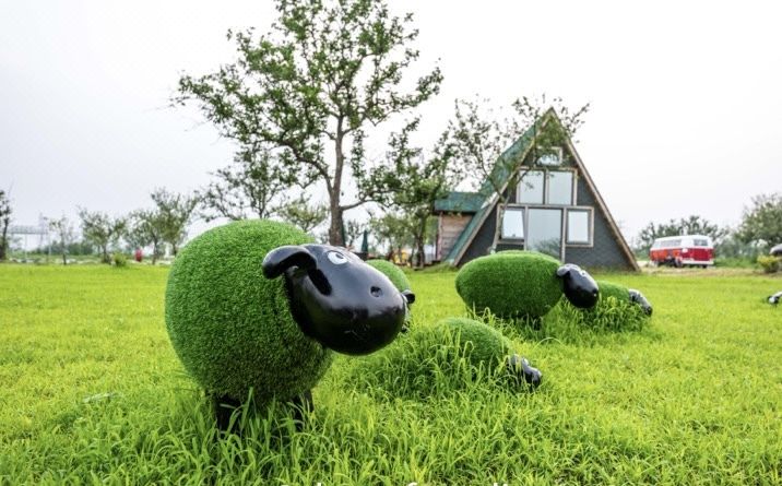 Half a summer homestay