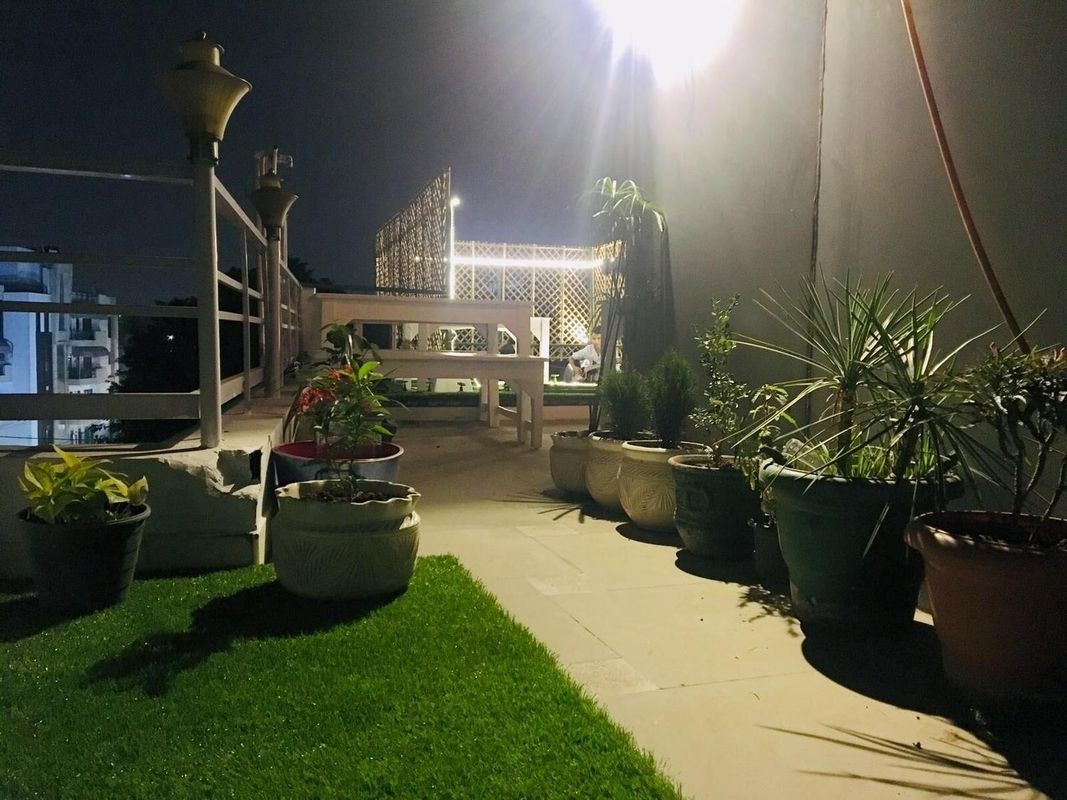 瞌睡狐 - 青年旅舍