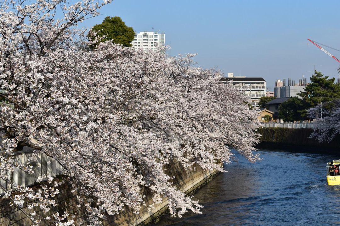 京急EX酒店品川新馬場站北