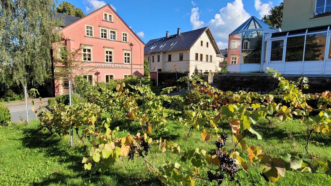 Wein-Hotel Auberge Mistral