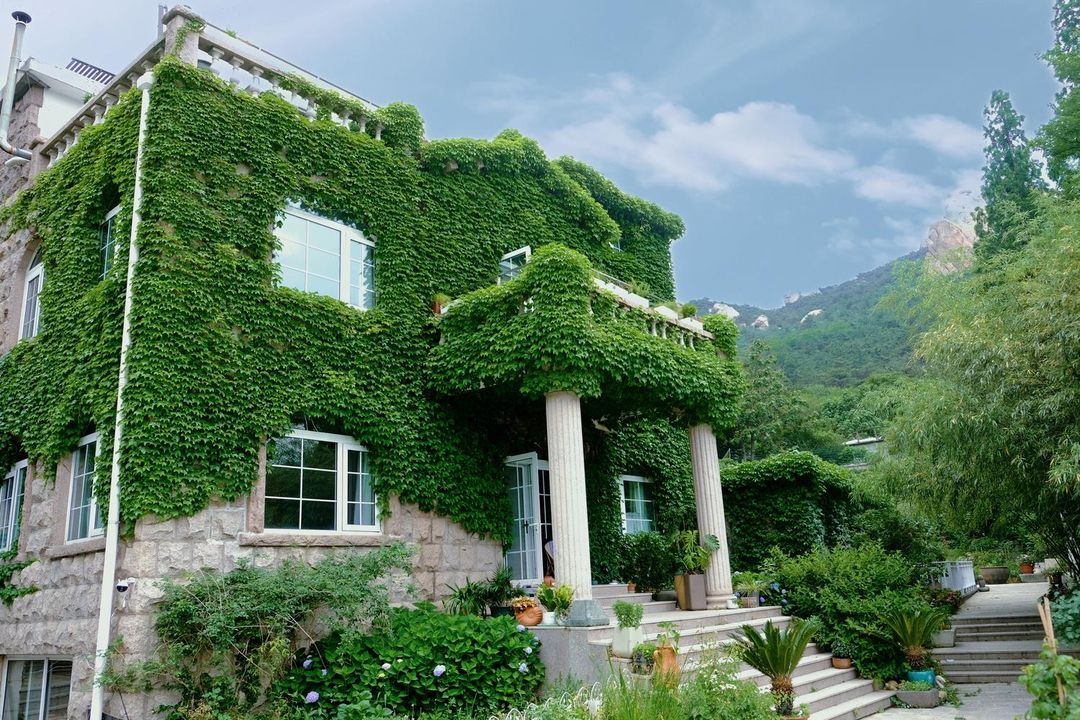 嶗山七水杉居靜心療愈民宿