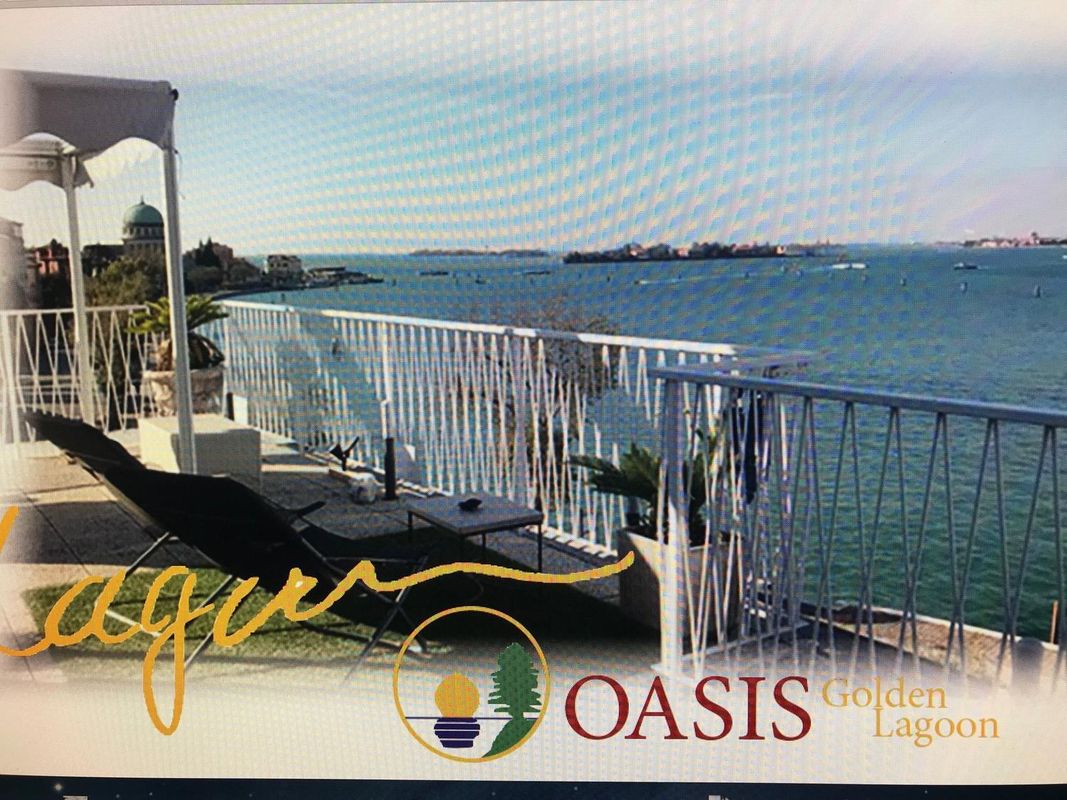 綠洲黃金舄湖木屋酒店