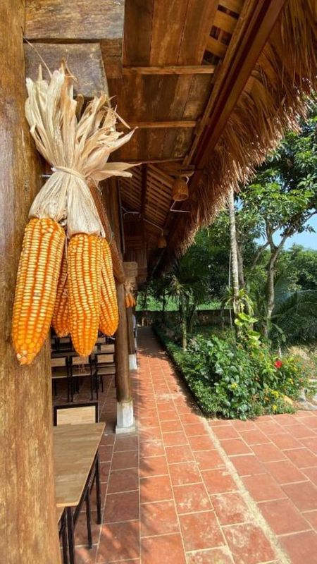 May Tropicall Villas