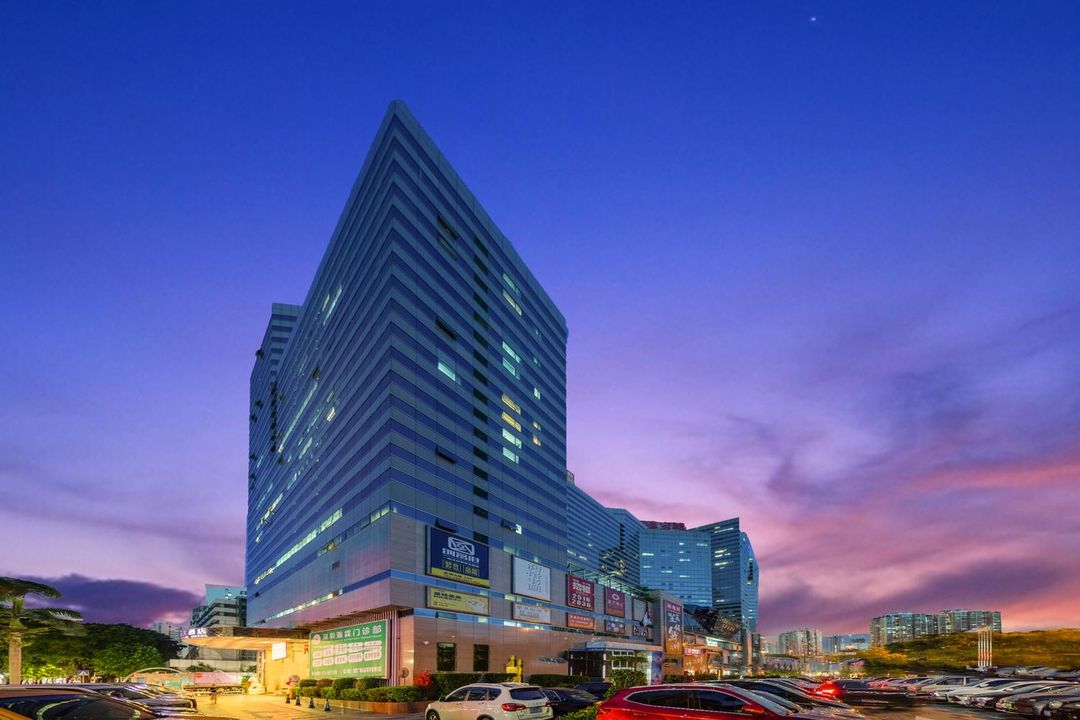 深圳藝嘉國際大酒店