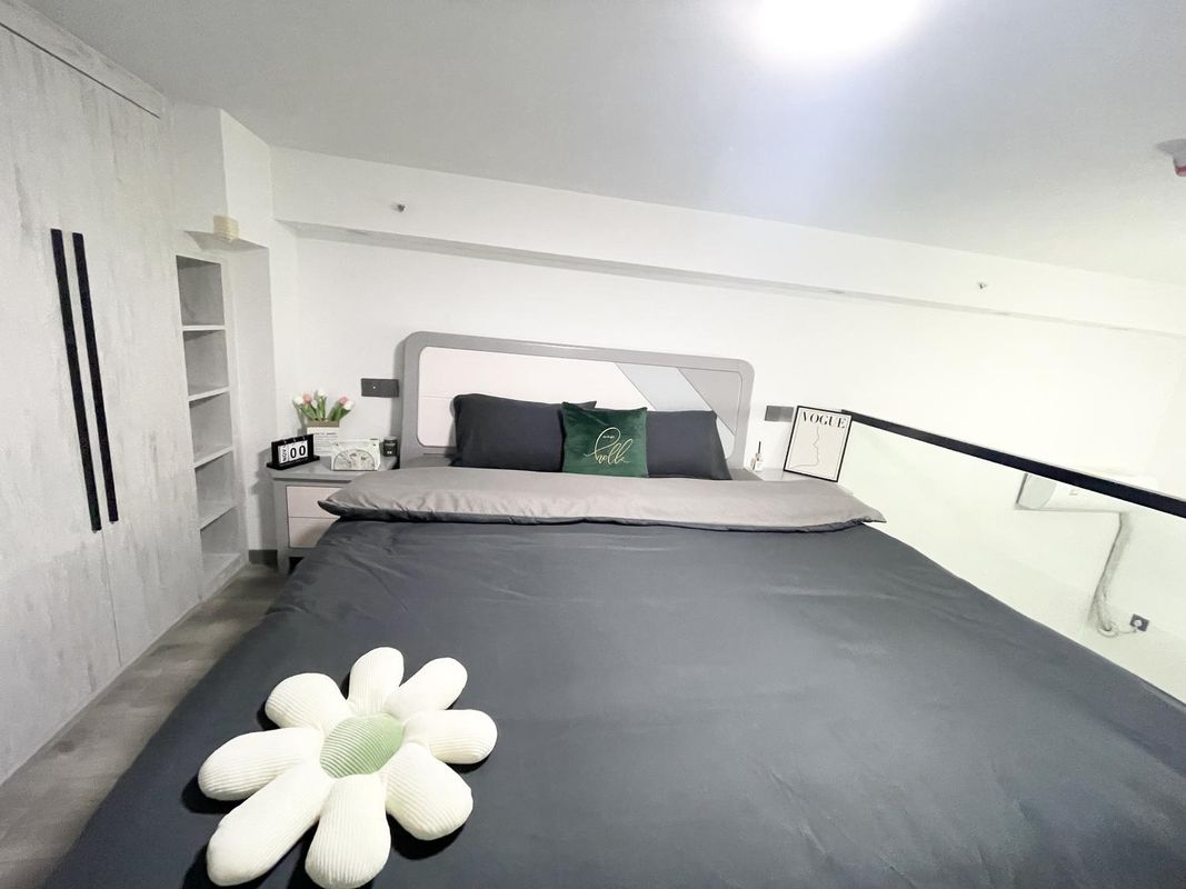 圈圈ins輕奢投影公寓(成都龍湖蜀新天街工業學院店)