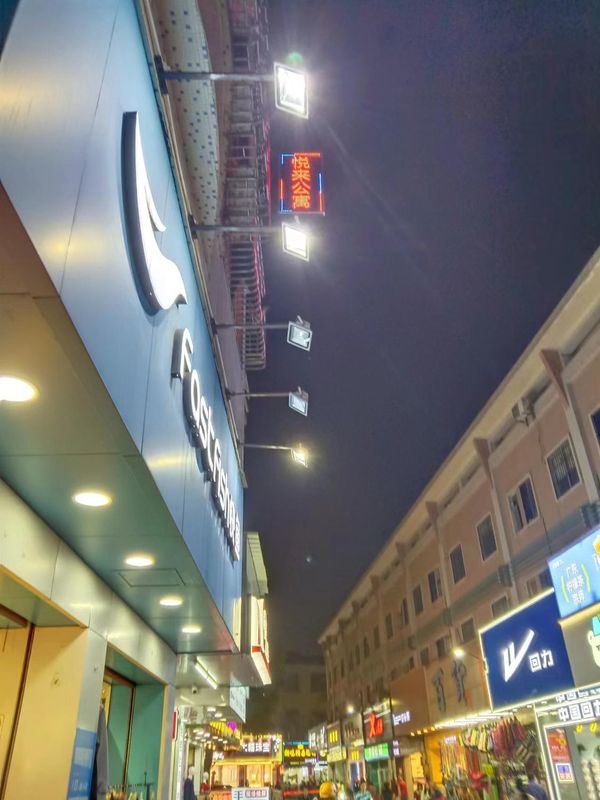 Foshan Yuelai Apartment