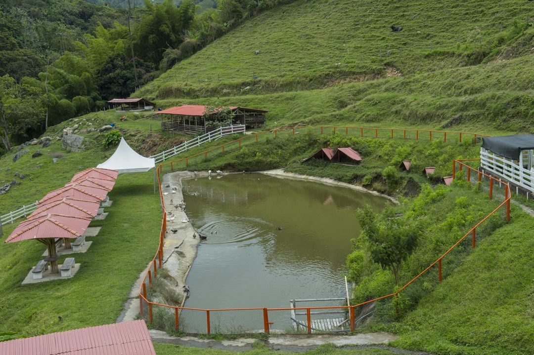 Hacienda Charrascal Coffe Farm
