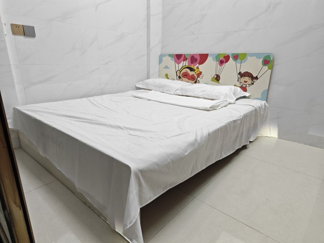 房东Leoliu公寓(长丰路1号分店)