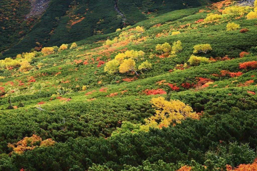 ペンションMr.チャーリーブラウン