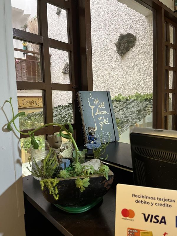 Hostal Sep7imo藝術