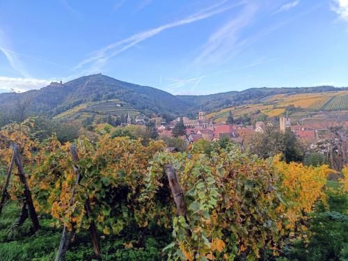 Un Balcon Sur les Toits