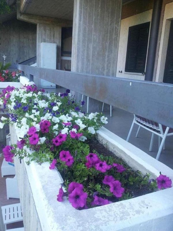 Hotel Ferranti