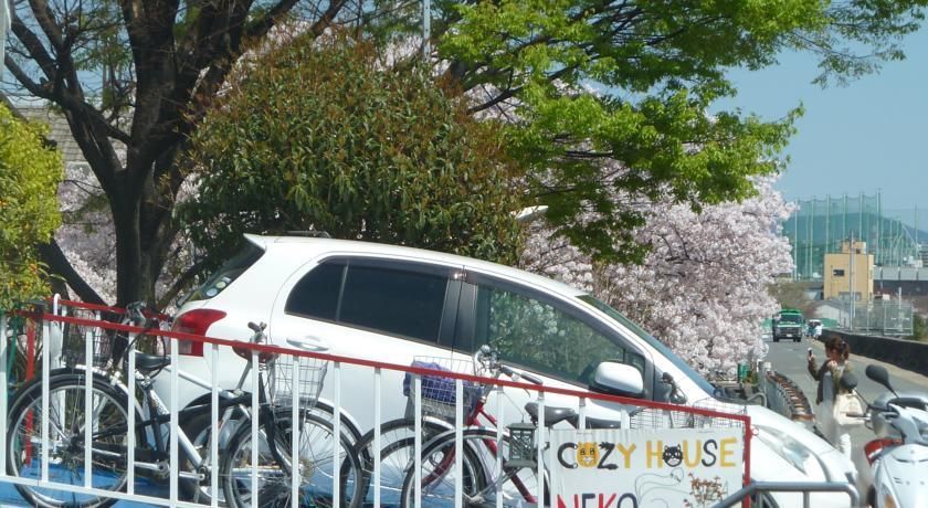 貓咪旅館 - 青年旅舍