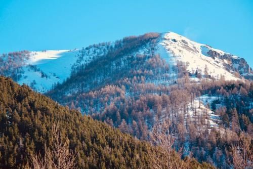 卡莫斯多爾酒店