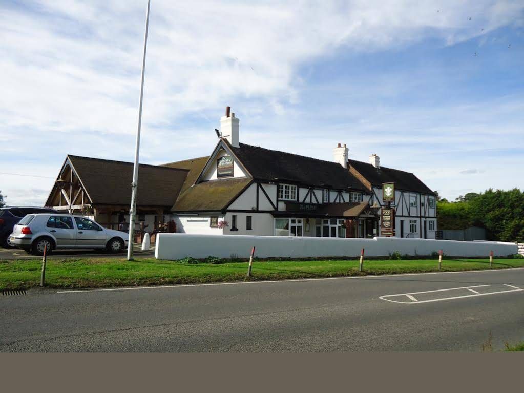 The Plume of Feathers