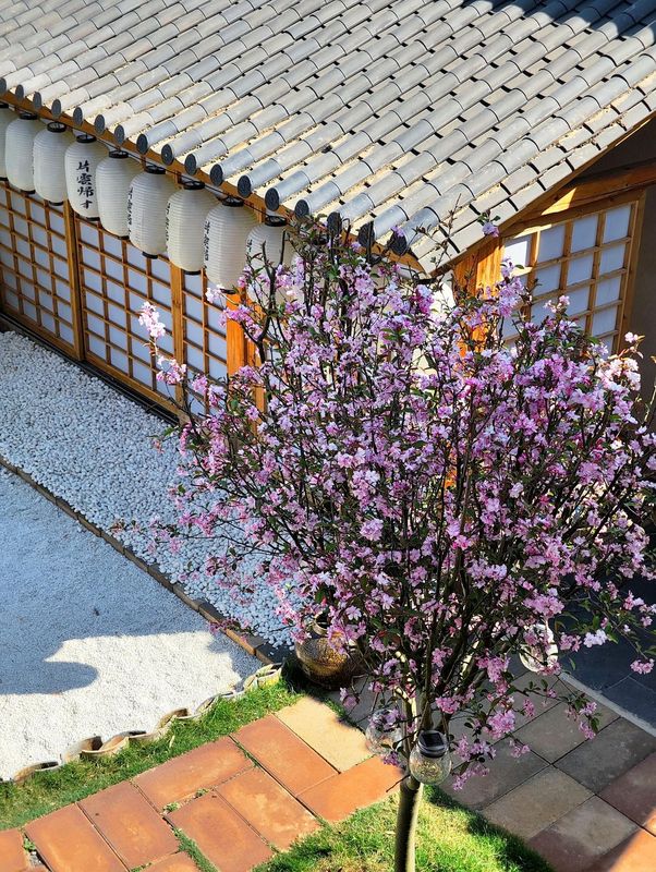 Pianyungui Boutique Homestay