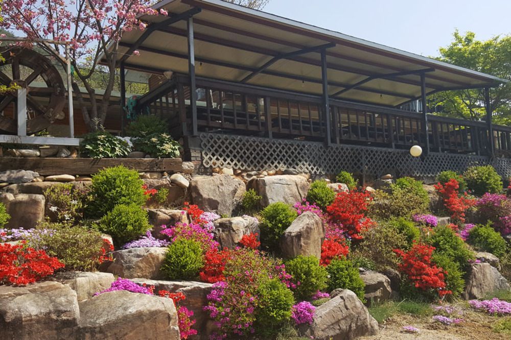 Yeongwol Arari Pension