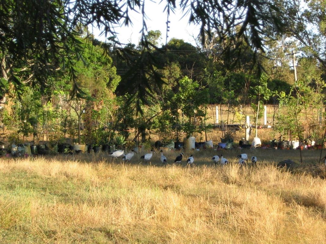 阿瑪戴爾農場住宿加早餐旅館