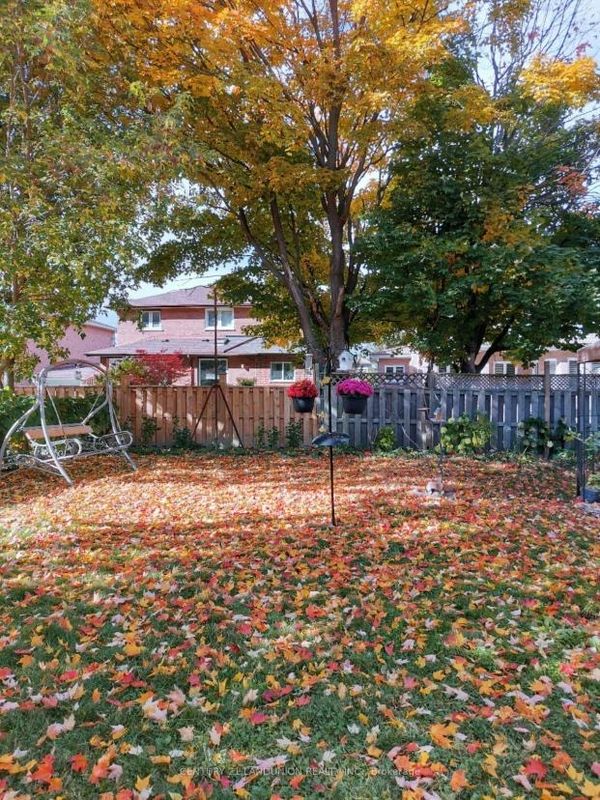 士嘉堡好運民宿