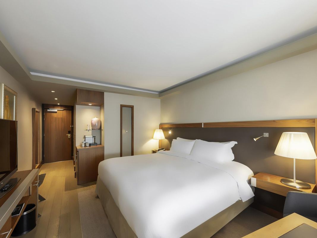 里昂貝勒庫爾索菲特酒店