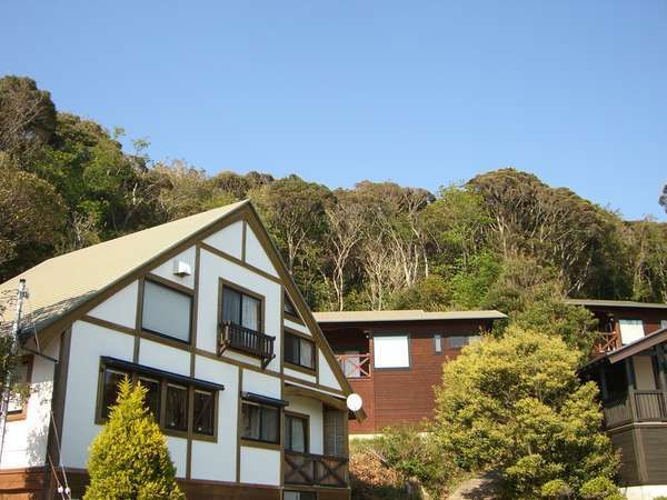 小宿&餐廳椎木山