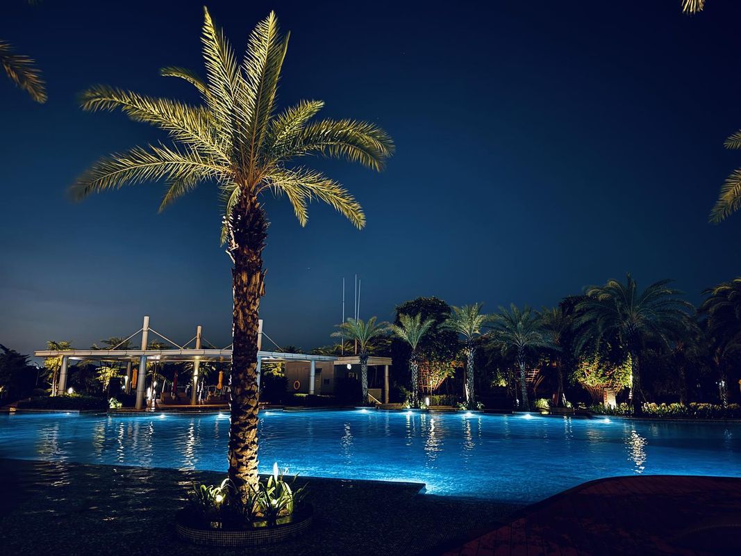 ·TANG · Gold Coast Pik Sea View Apartment