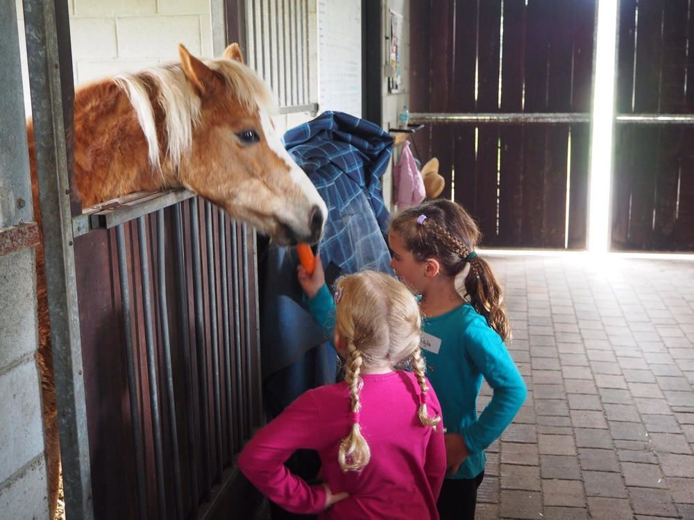 考蘭達山林小屋