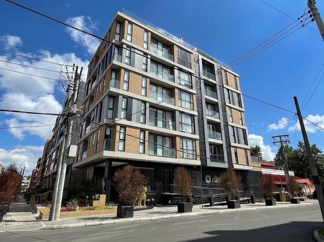 帕爾梅託尼依多