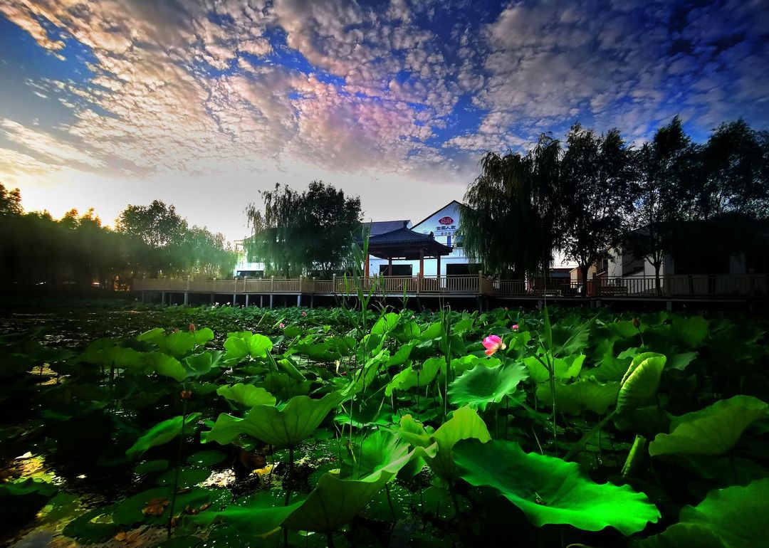荷府·世園人家壹號院