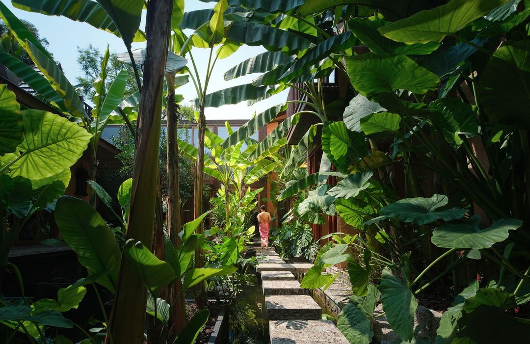 泰妙·雨林spa療愈民宿