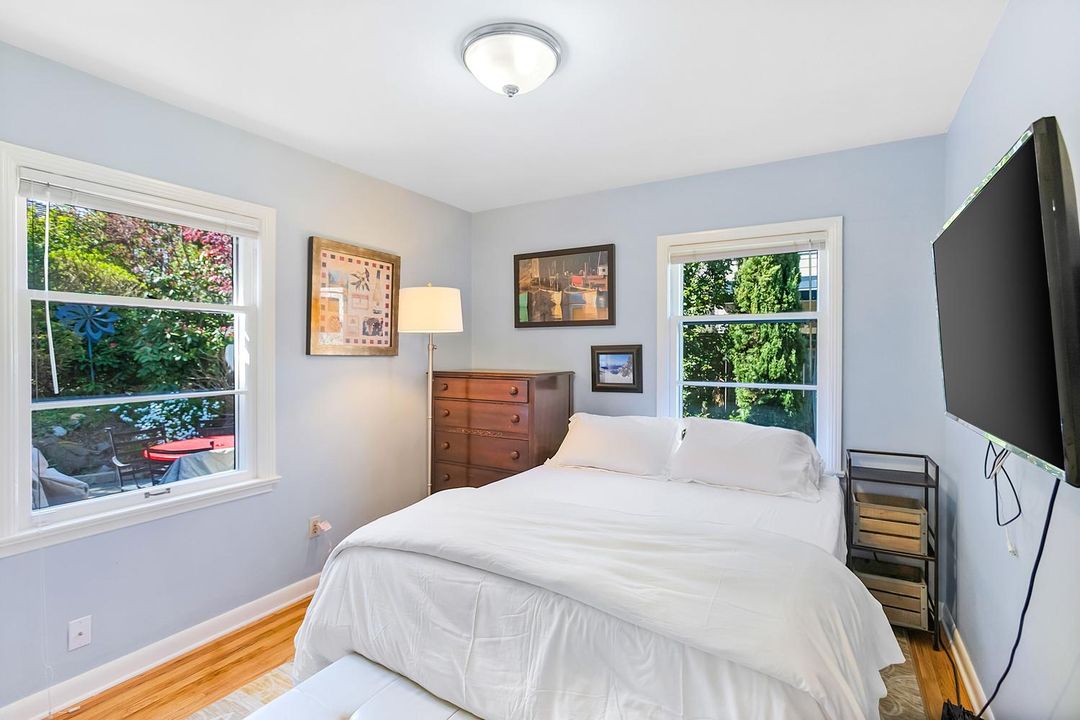 山上的瑪格諾利亞