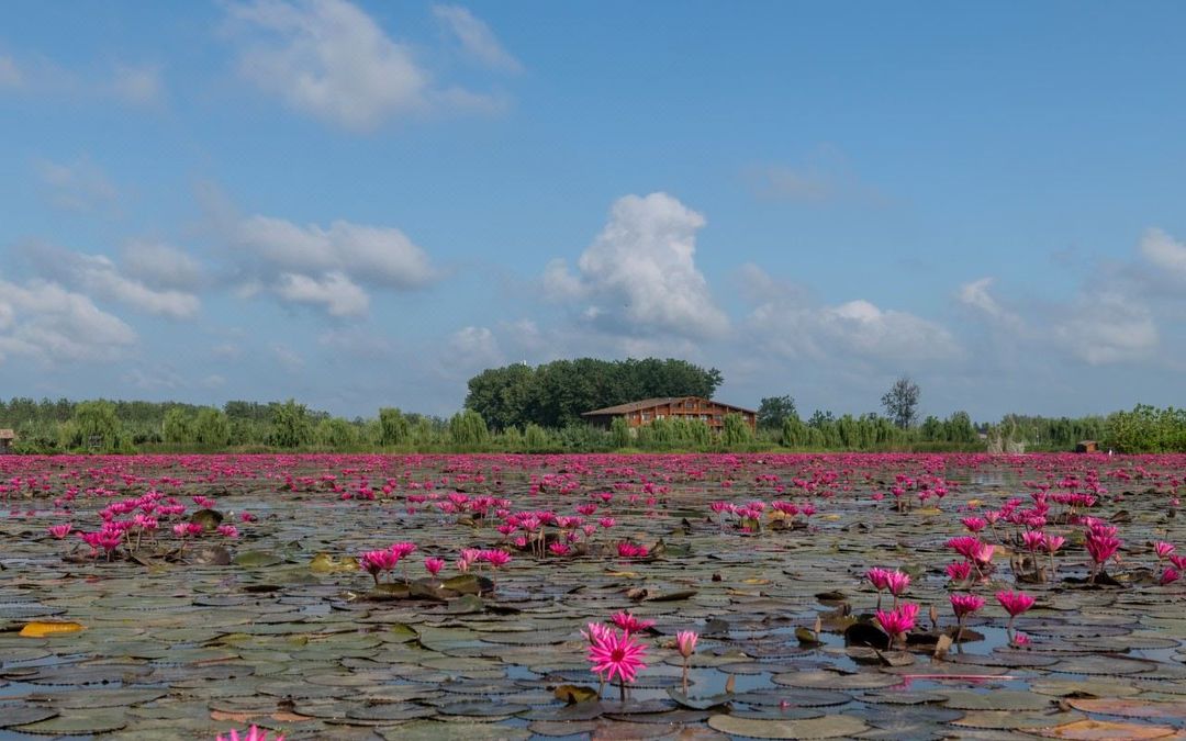 Chishan Lake Guesthouse