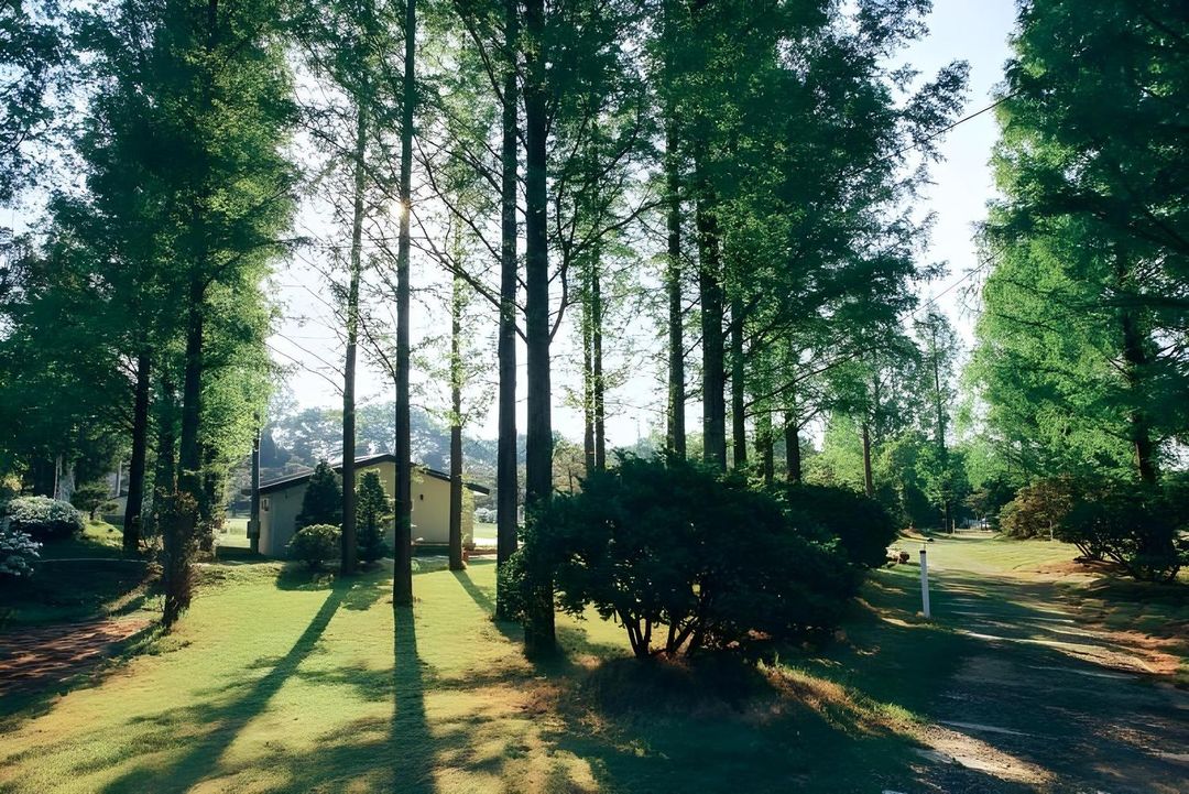 Yeoju Majorael Glamping Resort