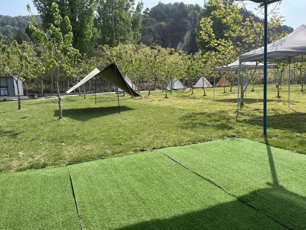 小九宝妈特色民宿(海子中路分店)