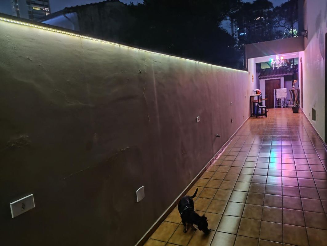 Daniel de Souza Miguel