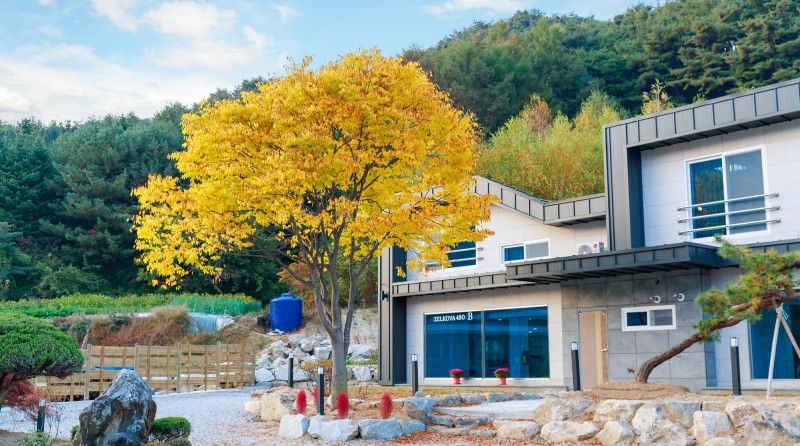 Wonju Zelkova 480 Pool Villa