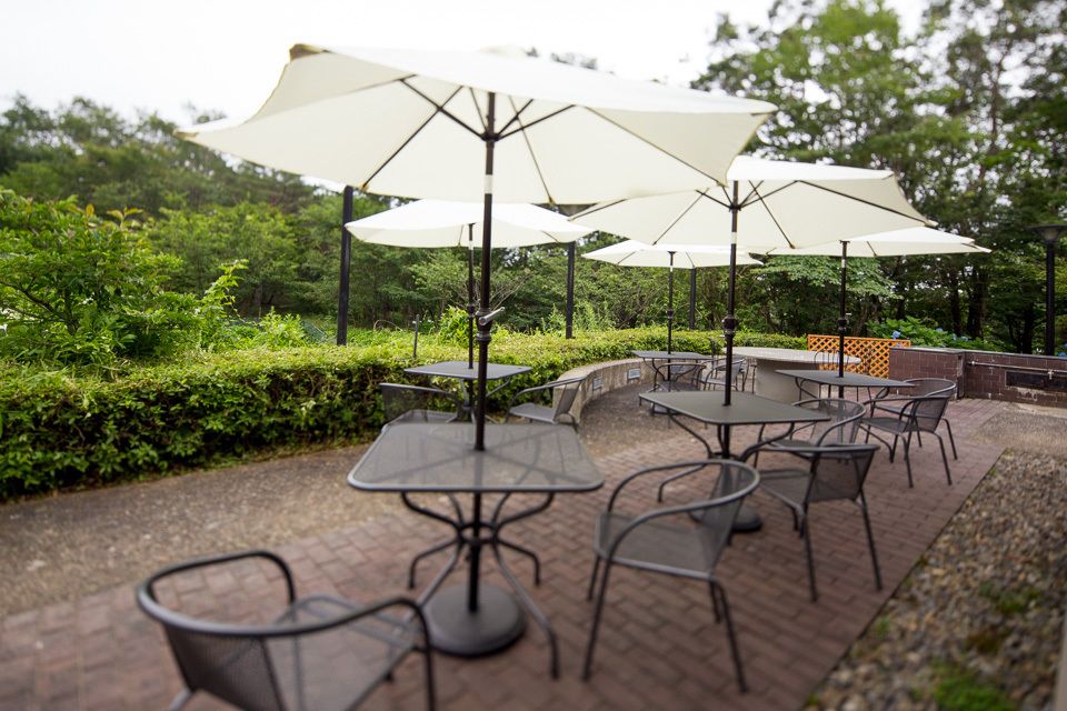 Caro Foresta Nasu Kogen Volpe