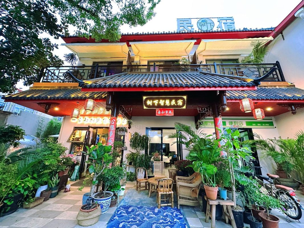 Shanghai Wisdom Hostel Under the Tree