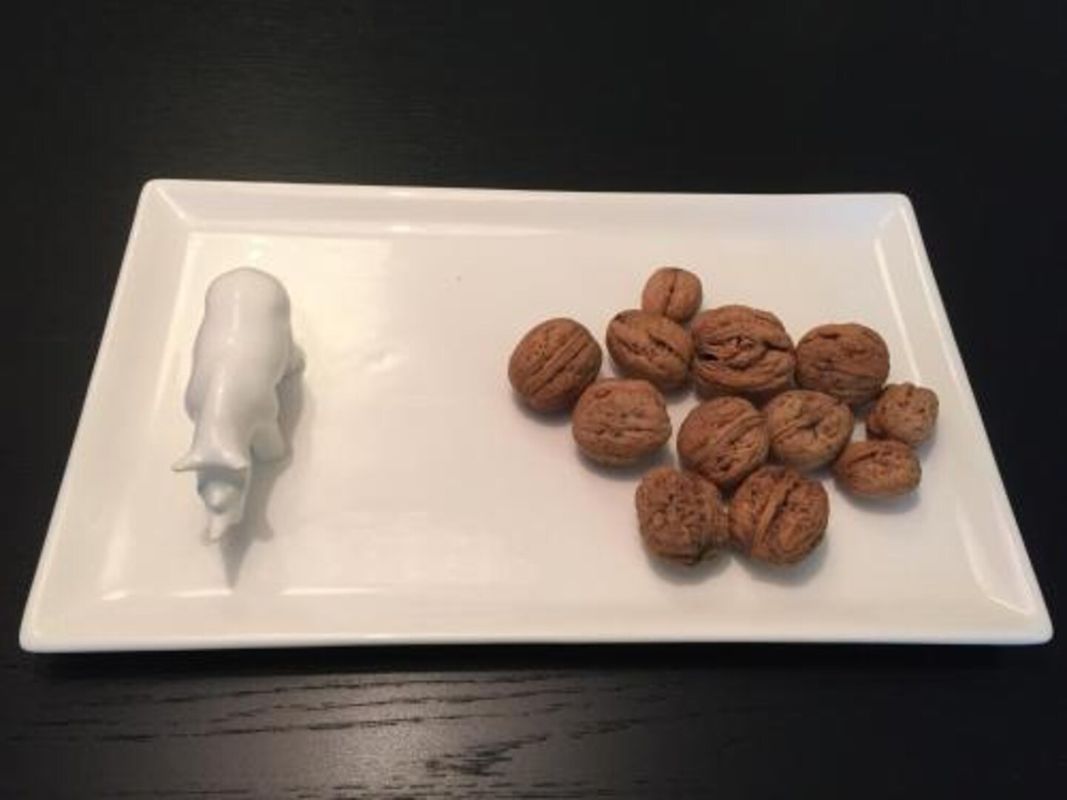 可可莫設計公寓酒店