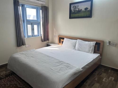 金絲雀之家度假屋