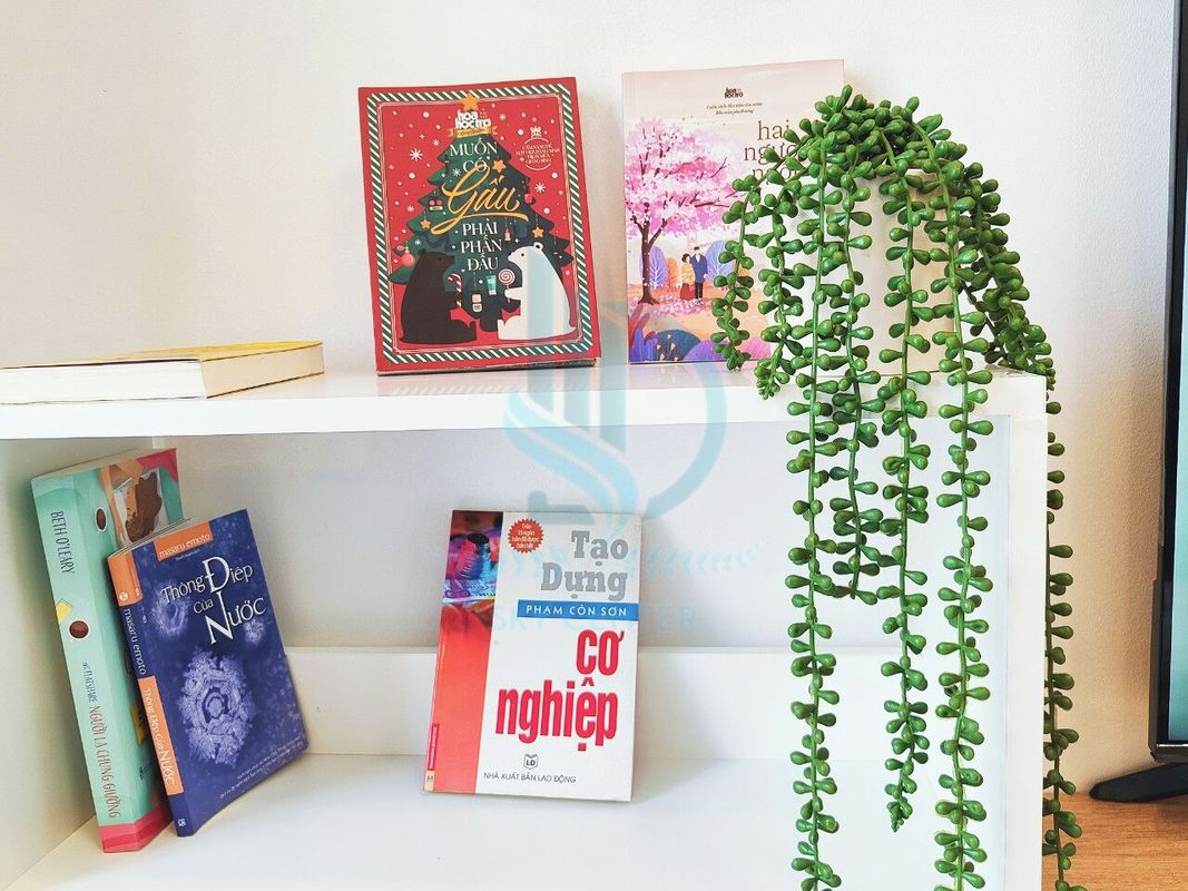 賽拉登城豪華兩臥室公寓