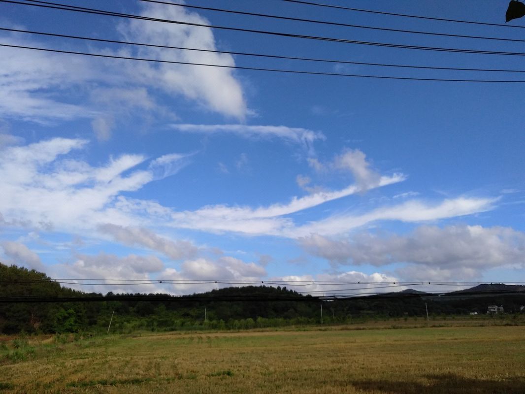 武汉天国的阶梯特色民宿(群益村分店)