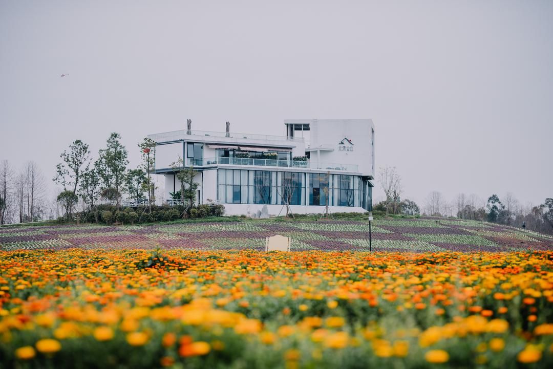 Yuansu Shanqiu Guesthouse