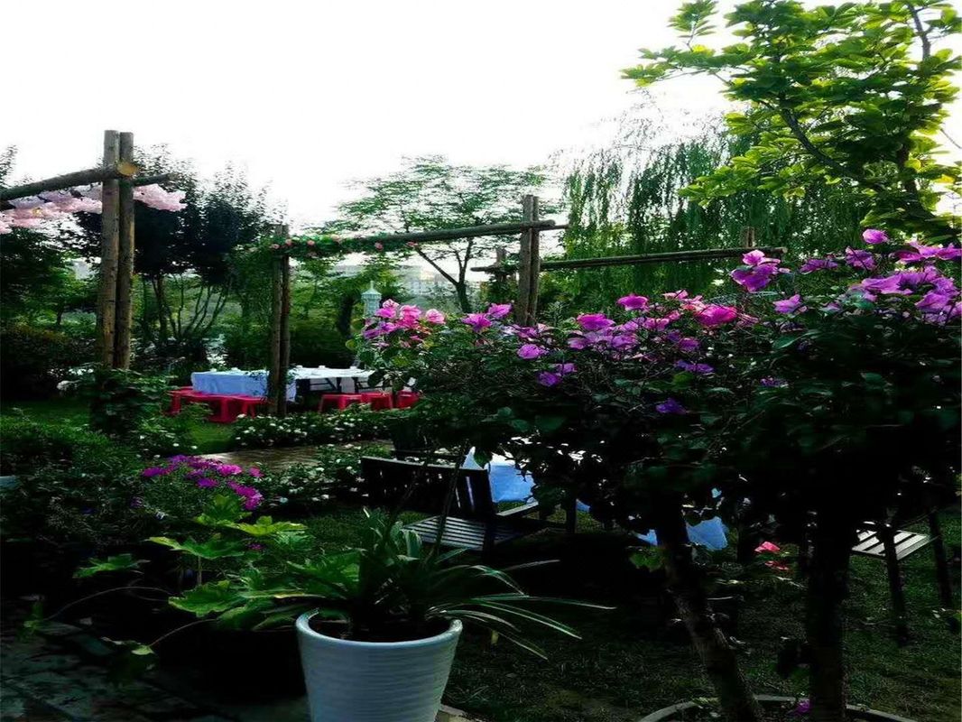 西安王依依度假别墅(南长安街分店)