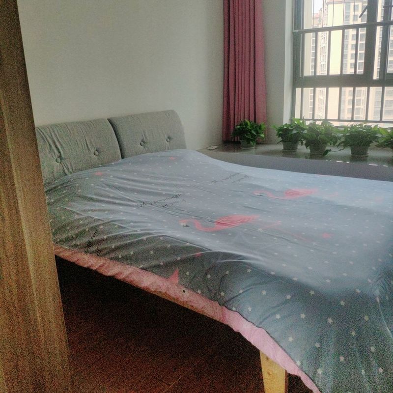 惠州敏儿尔公寓(和畅四路分店)