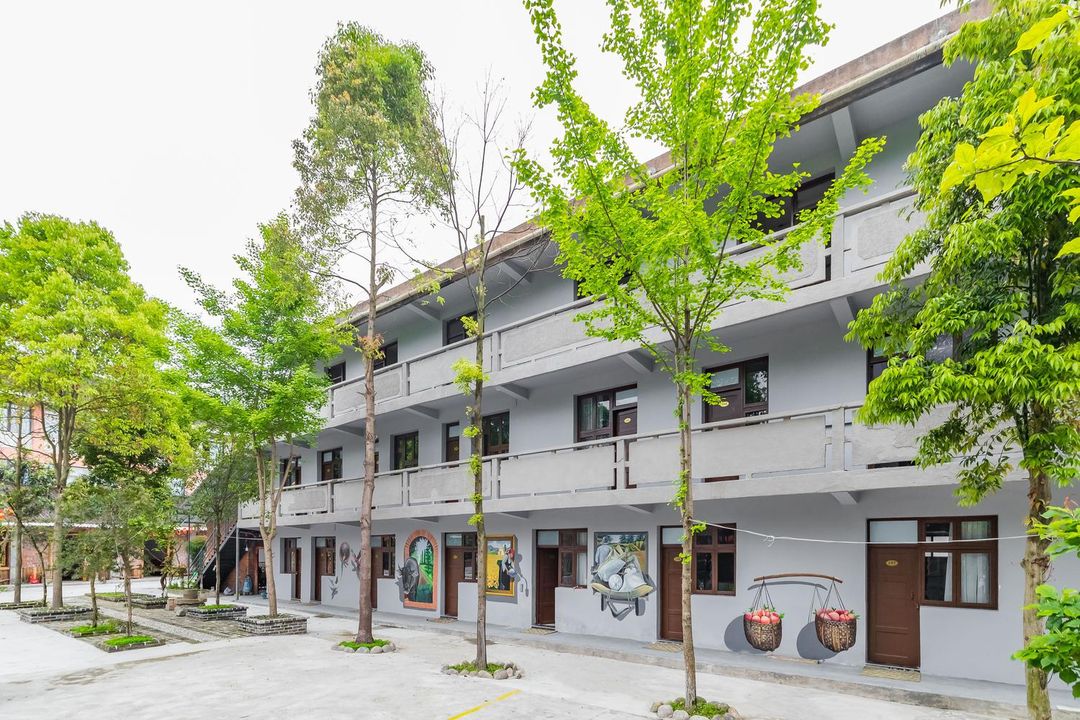 Dujiangyan Shuangyanjing Homestay