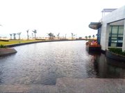 �������������庣����Ԣ