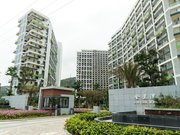 ����ɳ���庣���