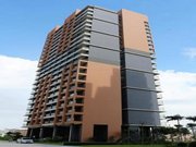 ����ɳ��ɳ�͵�����Ƶ�