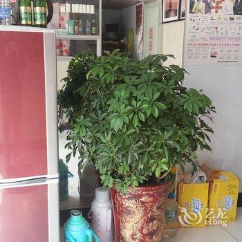 集安鑫鑫乐旅馆酒店提供图片